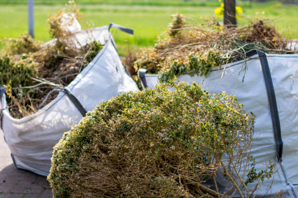 Kennesaw State University, GA Junk Removal Services Company